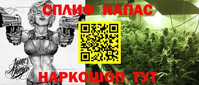 Альфа ПВП Можга