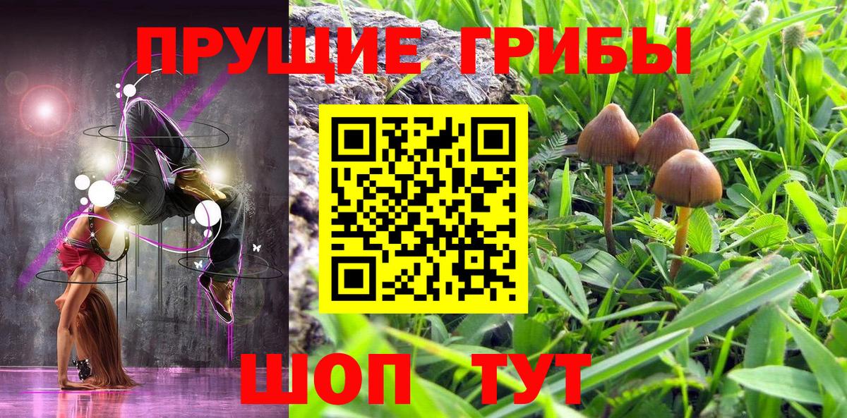 Псилоцибиновые грибы MAGIC MUSHROOMS  Галлюциногенные грибы MAGIC MUSHROOMS  где купить наркотик  Вход с VPN  Тихвин 