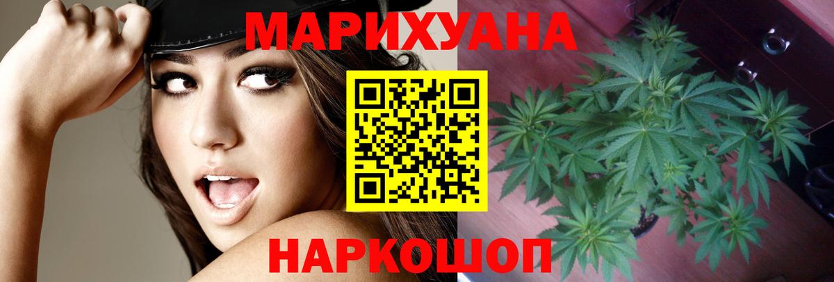 Марихуана сатива Тихвин